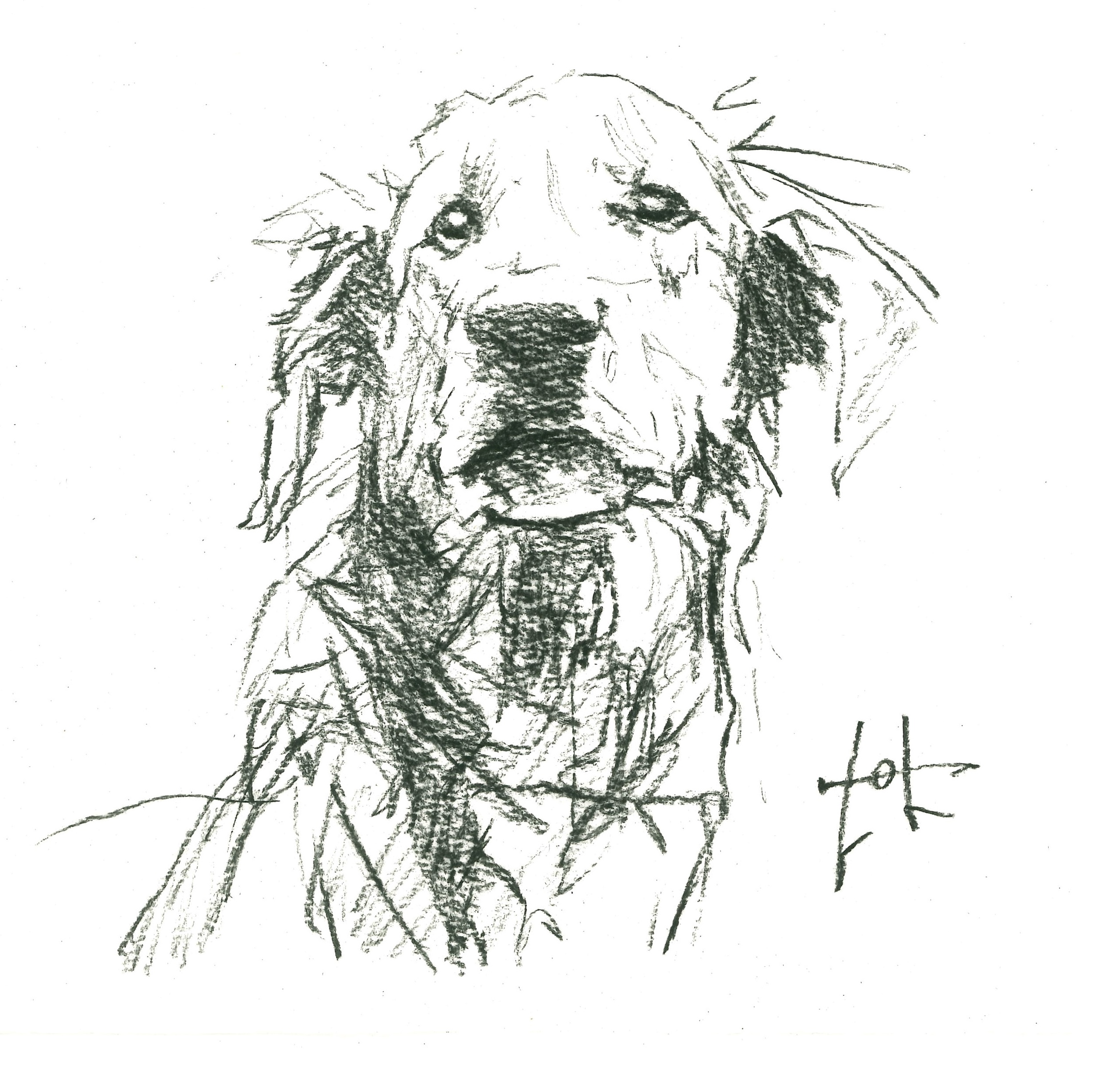 Animal 4